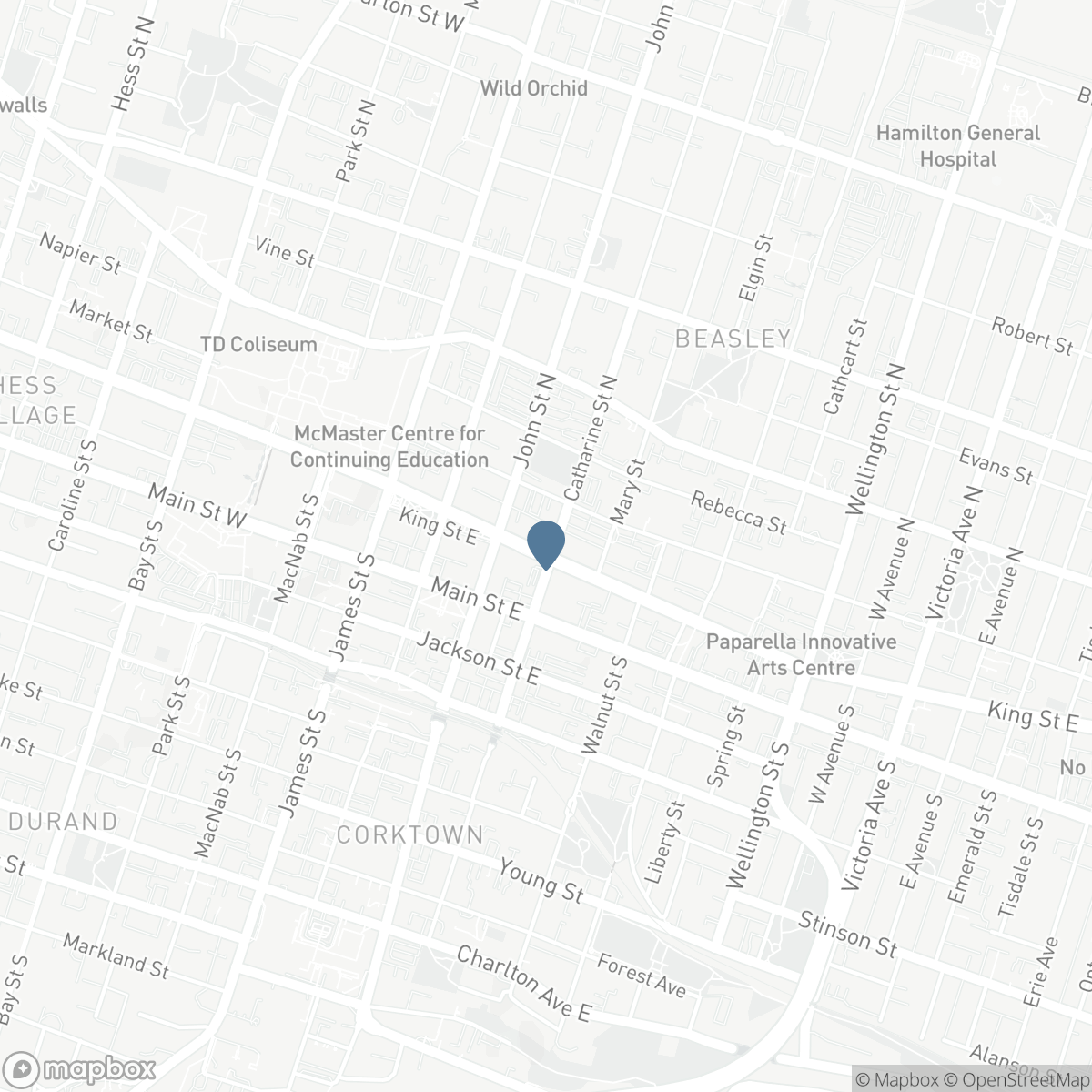 206 - 121 KING ST EAST STREET, Hamilton, Ontario L8N 1A9